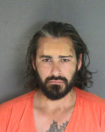 Mugshot of MICHAEL E SMITH