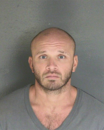 Mugshot of BRAD L POWELL