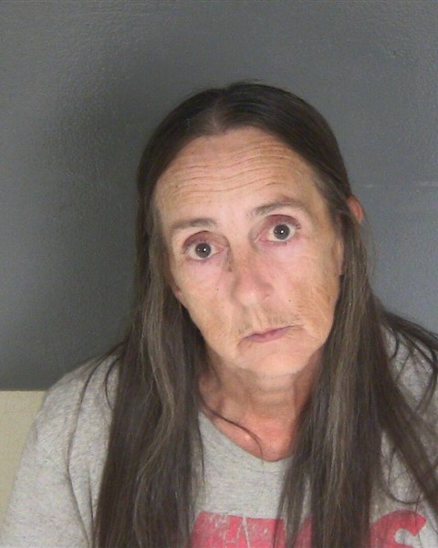 Mugshot of GINA L BRAISHER