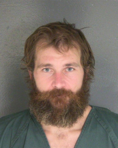 Mugshot of DEREK W LEWIS