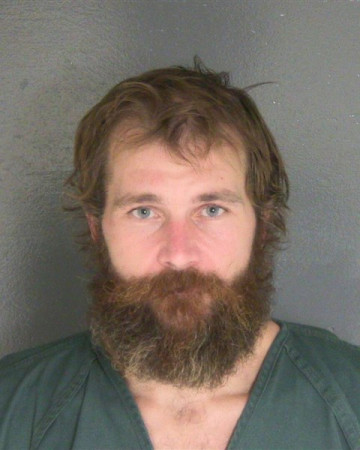 Mugshot of DEREK W LEWIS