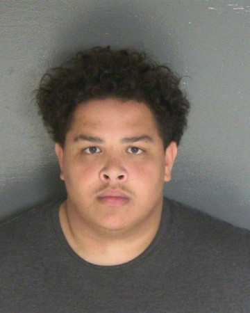 Mugshot of JULIUS D JR WILLIAMS