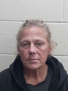 Mugshot of Donna Michele Ramsel