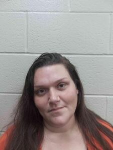 Mugshot of Megan Hill