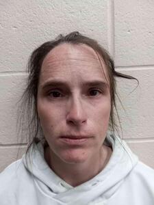 Mugshot of Jalissa Anna Louise Rollins