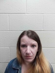 Mugshot of Kelli Lyn Wilson