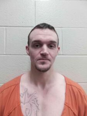 Mugshot of logan richard tipton