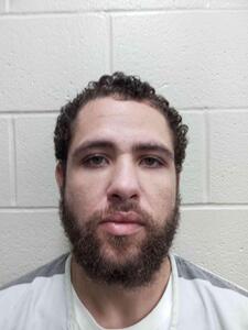 Mugshot of Dyllon J Allen