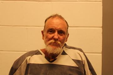 Mugshot of Shannon L Mcdonald