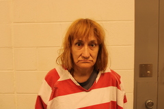 Mugshot of Melissa A Norman