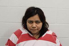 Mugshot of Berta M Gomez