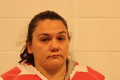 Mugshot of Theresa M Greek