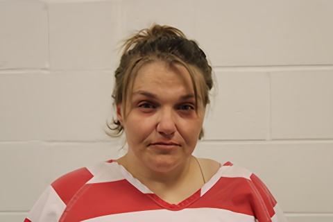 Mugshot of Kristi A Lee