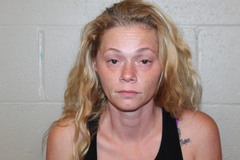 Mugshot of BRITTANY OLDANI