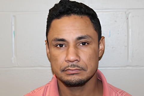 Mugshot of WALTER GRIJALBA