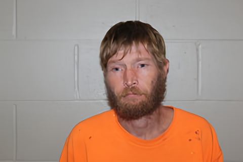 Mugshot of JEFFERY MCELROY