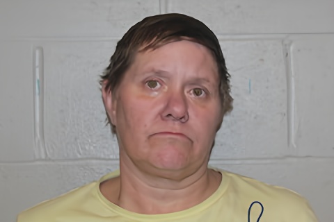 Mugshot of CRYSTAL HARRIS