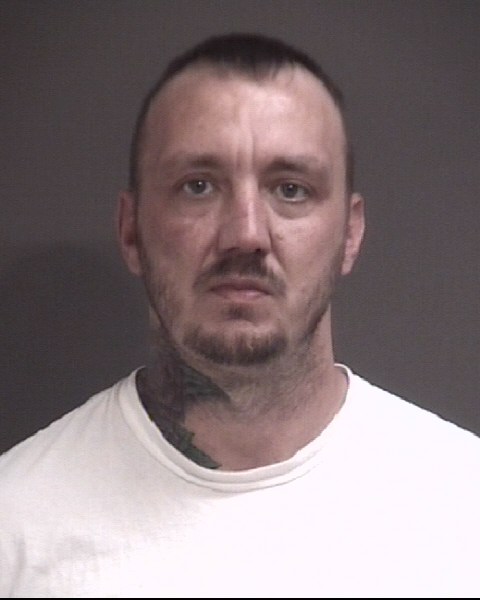 Mugshot of JAMIE LINN MASON
