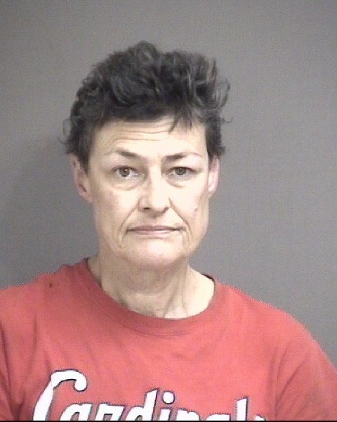 Mugshot of MECHELLE LEA BOYD