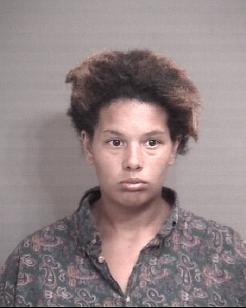 Mugshot of LEANDRA RAQUEL WALTERS