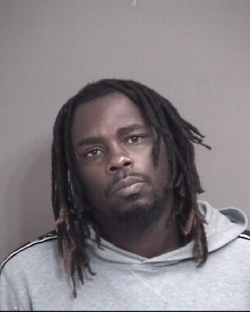 Mugshot of DANA JR JOHNSON