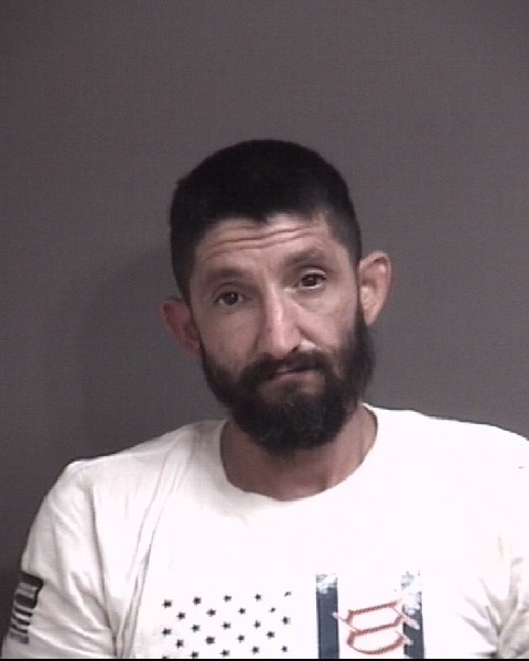 Mugshot of WENDELL ROBERT DALTON