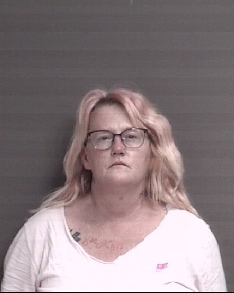 Mugshot of CHRISTY LYNN FOWLER