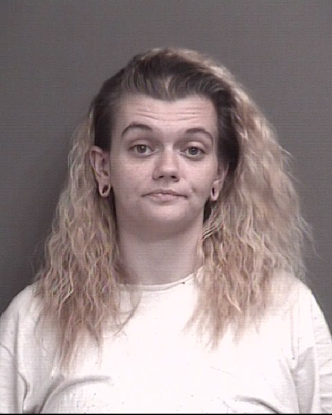 Mugshot of VIVIAN LEIGH ANNA NOLAND