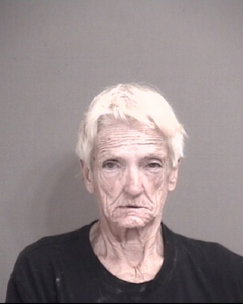 Mugshot of TREASA ARLENE ZALDIVAR