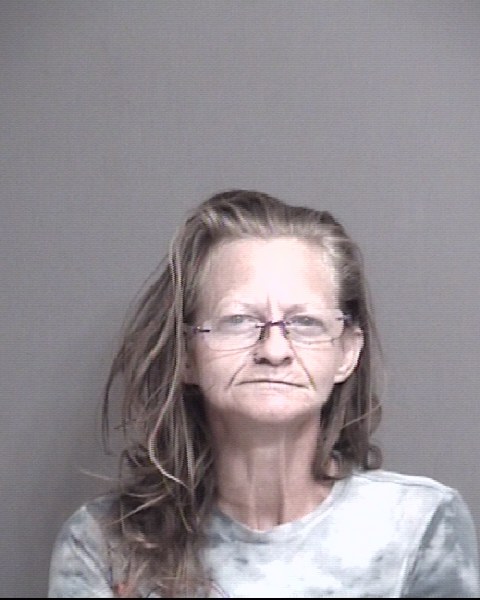 Mugshot of JULIE ANN MILLS