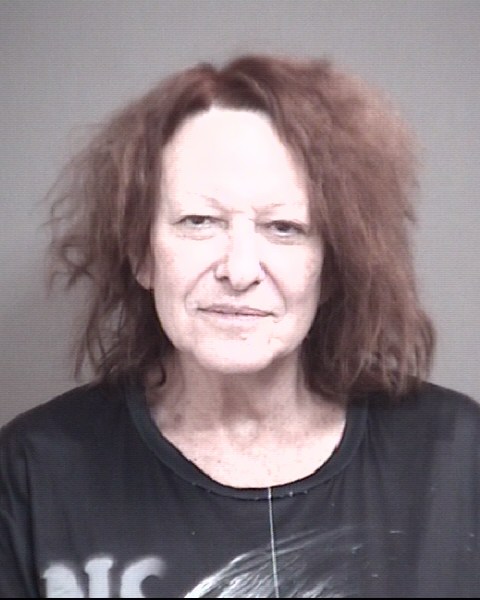 Mugshot of LISA JOAN WOOD