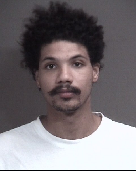 Mugshot of TYLER LANE NOLAND