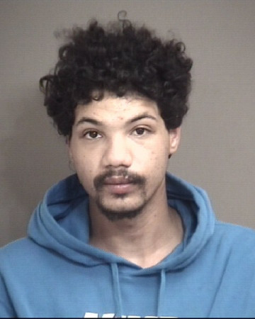 Mugshot of TYLER LANE NOLAND