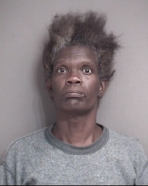Mugshot of TERESA FAYE WEST