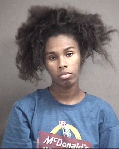Mugshot of KANIYA PORCHE WILSON