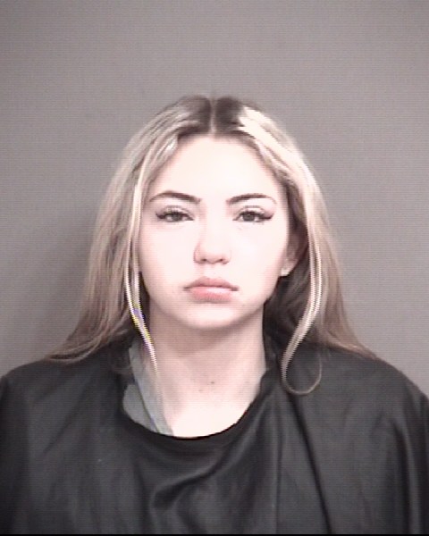 Mugshot of LORALEI ANN LABATH