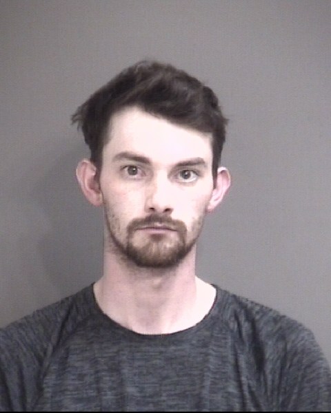 Mugshot of TYLER GAGE WOLKEN-MEALY