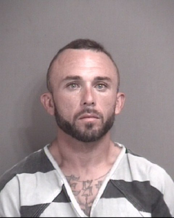 Mugshot of VINCENT MICHAEL OVERY