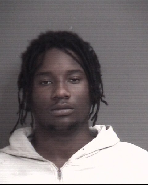 Mugshot of LONNIE TERRELL JOHNSON