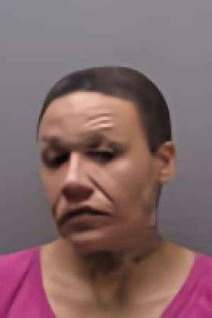 Mugshot of TANETTA ELAINE SMITH