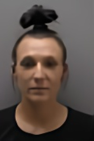 Mugshot of JAMIE RENEE MAE NICHOLSON