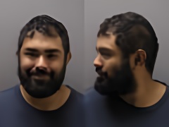 Mugshot of ROBERT FLORES