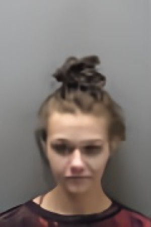 Mugshot of NICOLE LYNN DREDGE