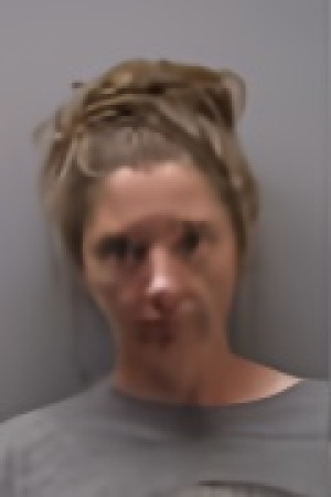 Mugshot of DEBORAH LYNNE CARLSON-HOCKADAY