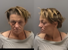 Mugshot of SHANNON SUE BURGESS