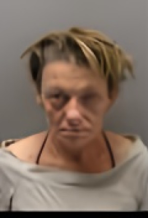 Mugshot of SHANNON SUE BURGESS