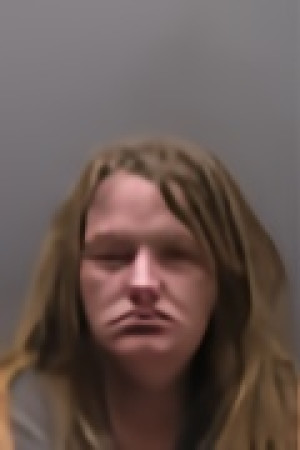 Mugshot of ASHLEY REGINA NIKOL WIESNER