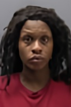 Mugshot of FREDERIKA KAROLANN FARMER