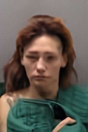 Mugshot of JADA NICOLE MINTER
