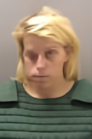 Mugshot of JULIA ANN WATTS